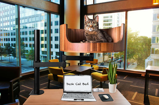 why did my cat lick my nose