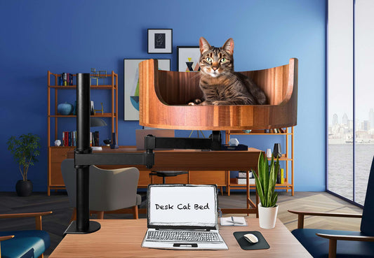 why do cat eat grass