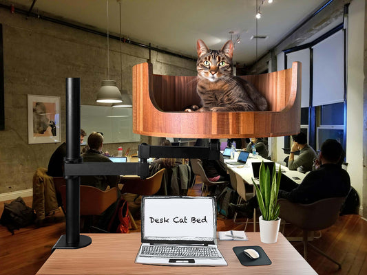 why do cats tails vibrate