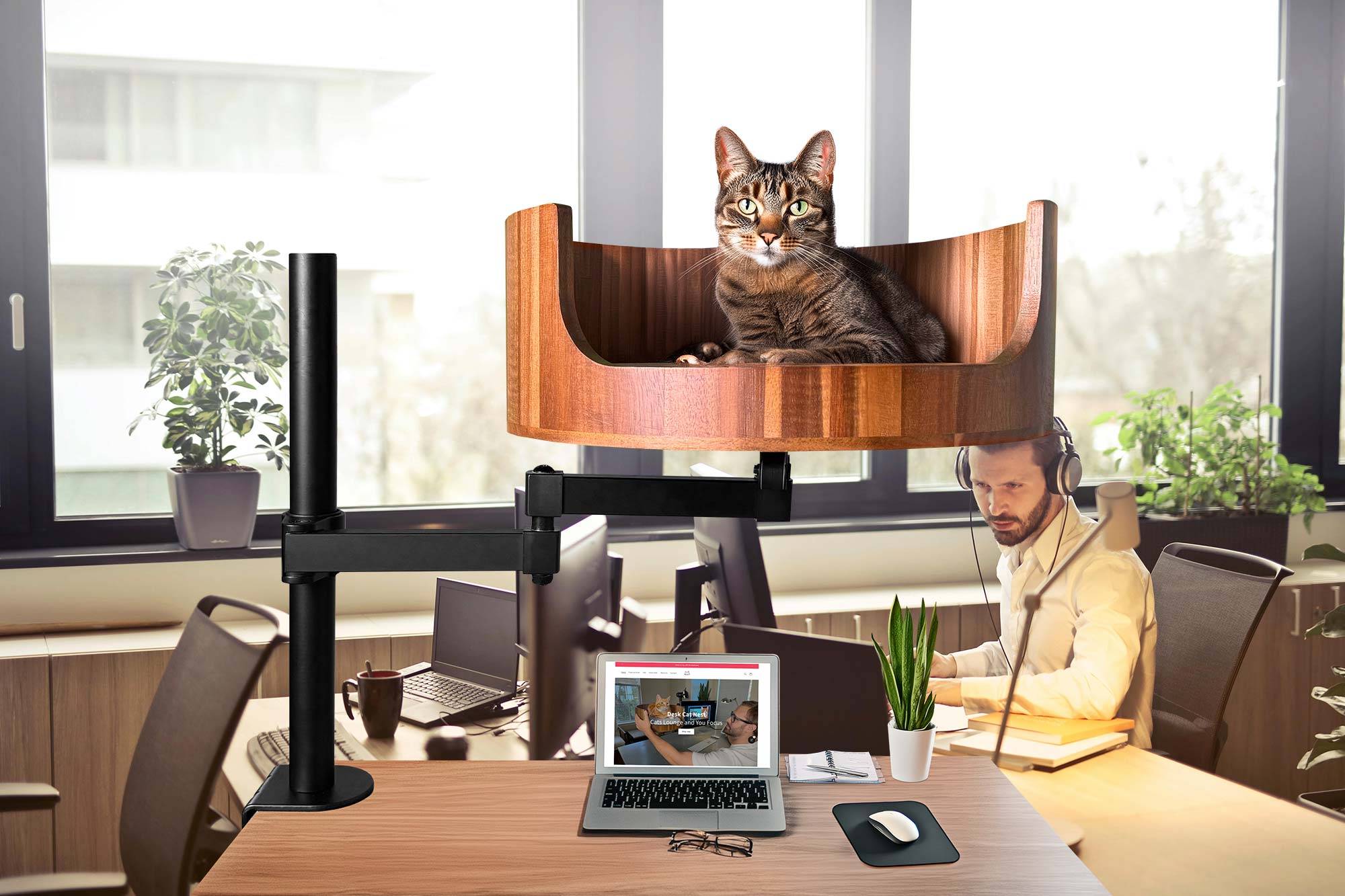 X Ray of My Heart Cat: A Unique Perspective on Love – Desk Cat Nest