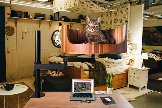 you are my catnip chapter 9