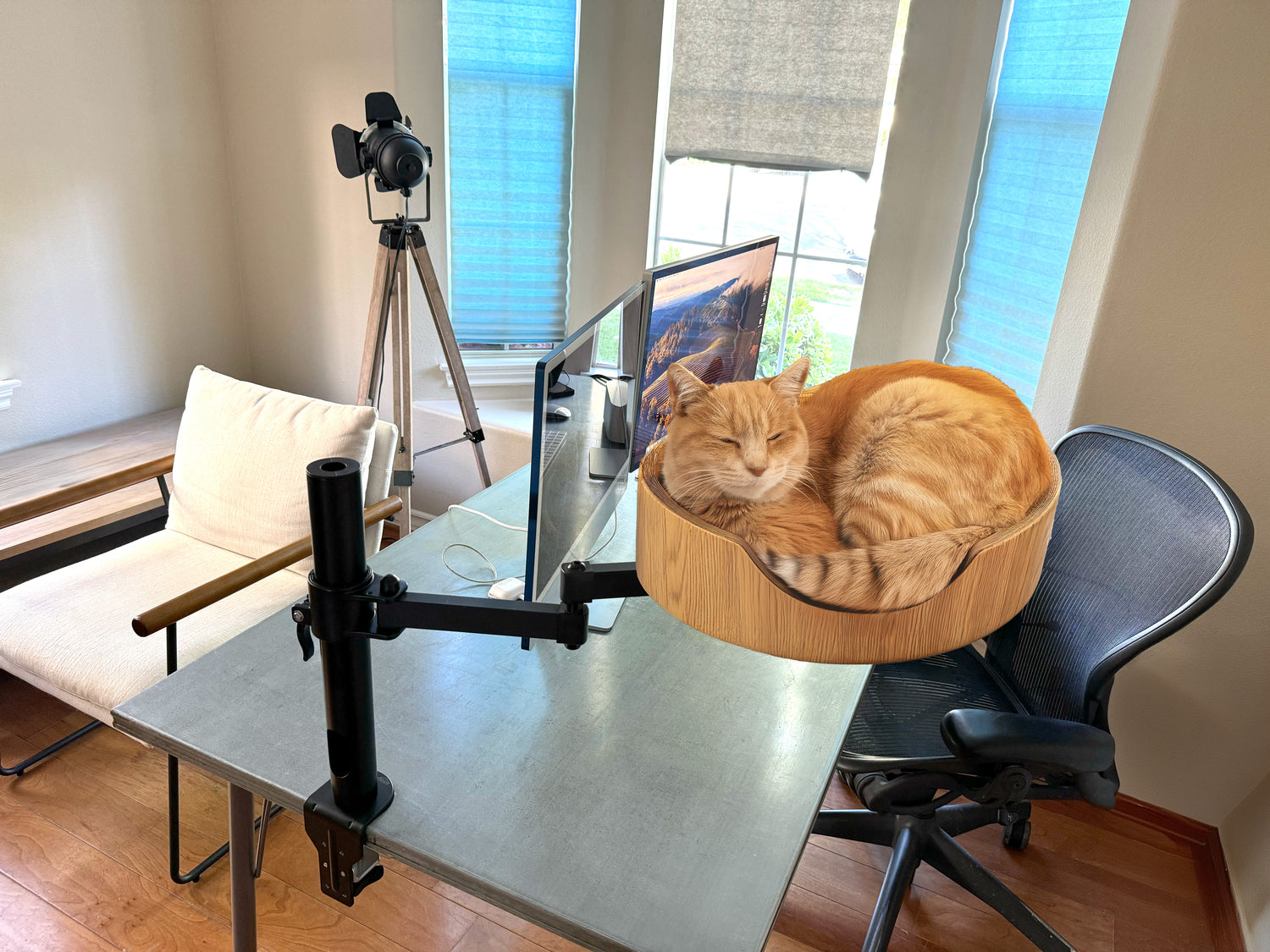 desk nest cat bed on the table