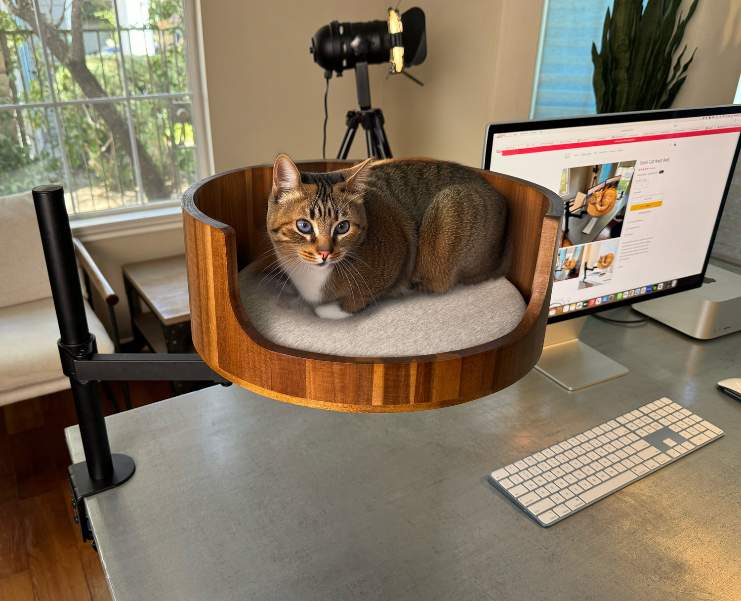 desk nest cat bed with grey cat