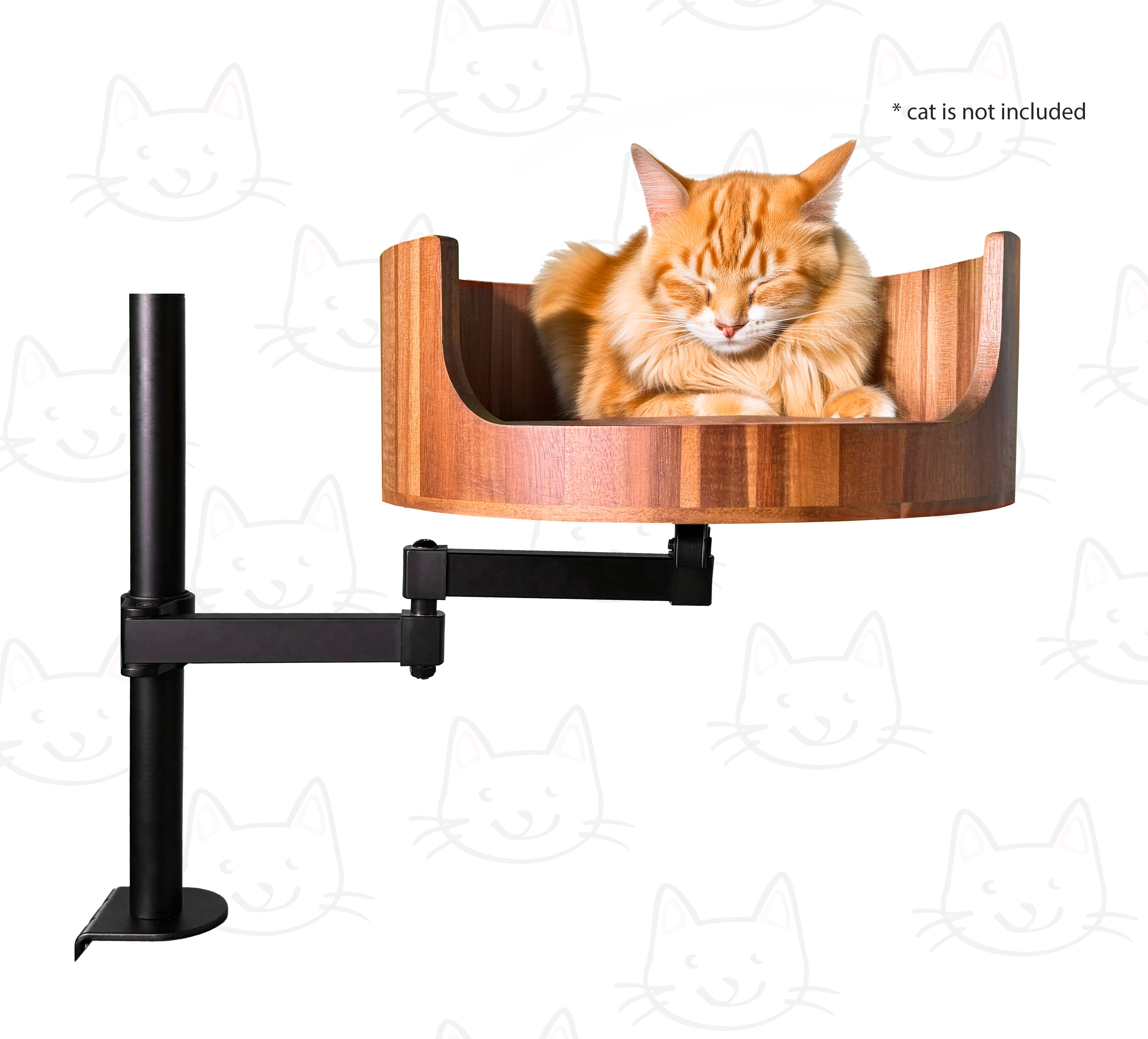 Cat Arm: Understanding Its Unique Anatomy and Function – Desk Cat Nest