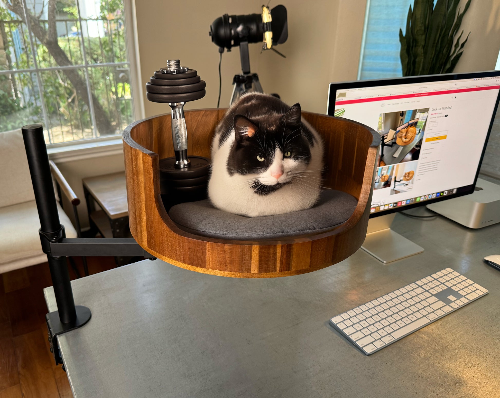 desk nest cat bed with fat cat